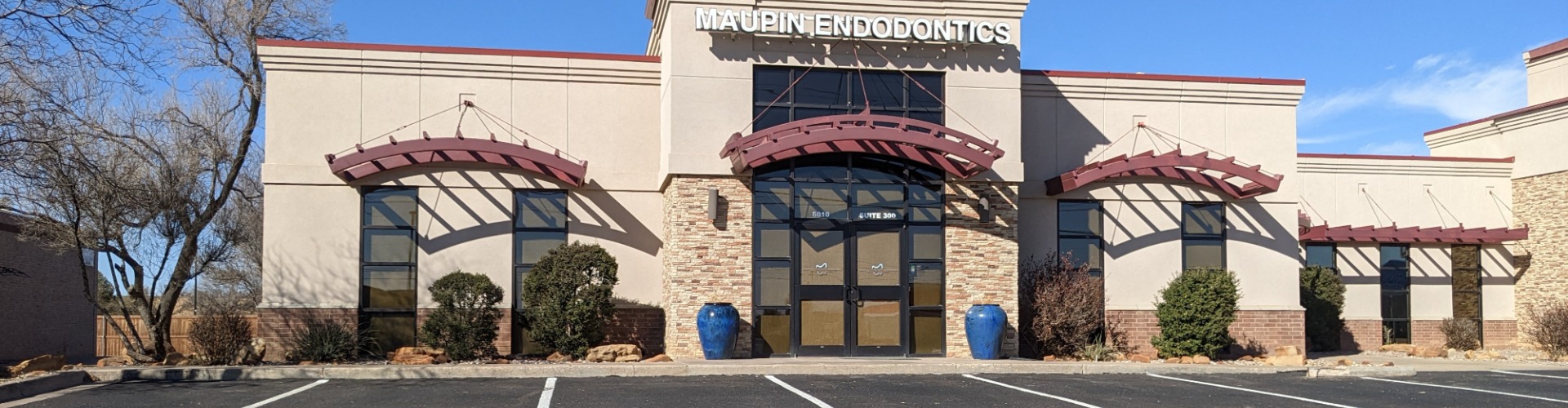 Maupin Steffensen Endodontics cover photo