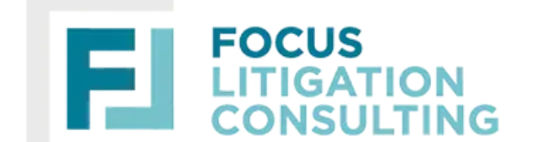 Focus Litigation Consulting LLC cover photo