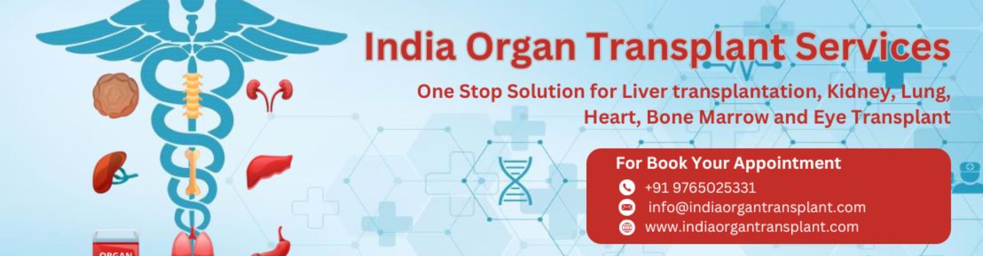 Kidney Transplant Best Hospital in India cover photo