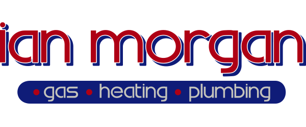 Morgan Ian logo