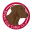 Brown Dog Coffee Company logo