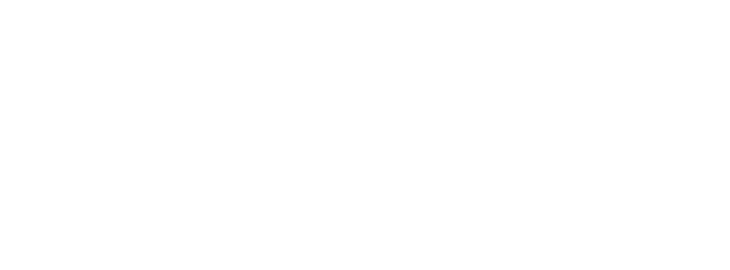 Aireys Pub logo