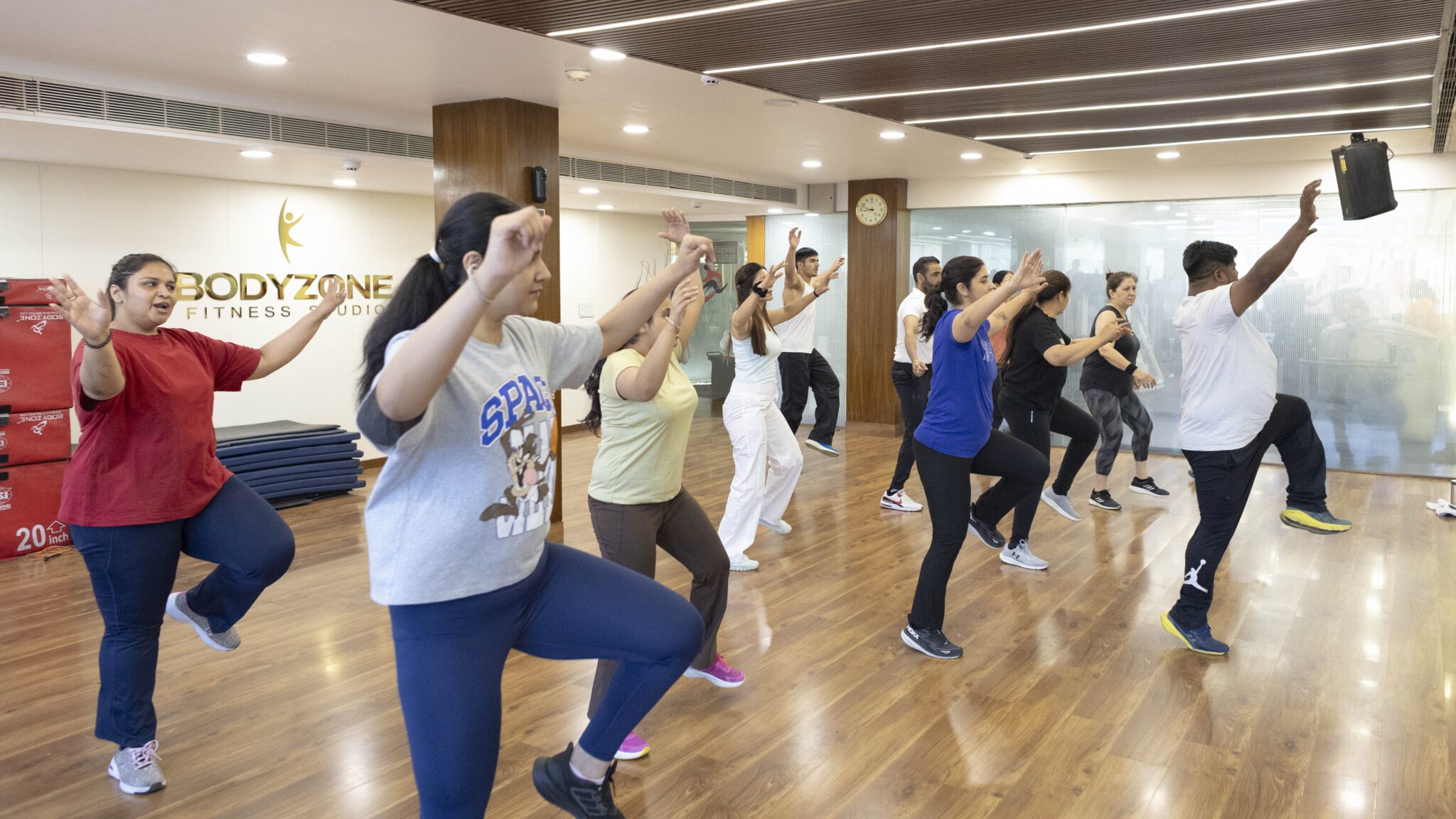 Bodyzone Fitness & spa Pvt Ltd logo