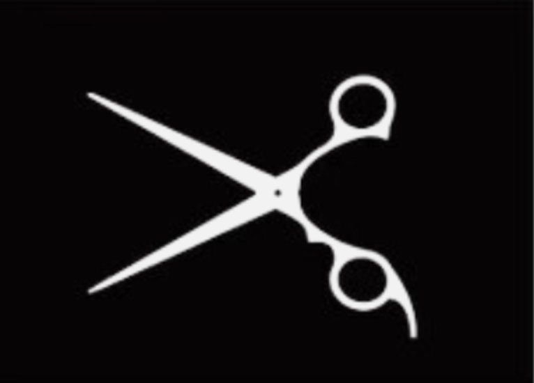 Salon Entrenous logo