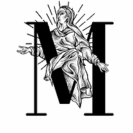 STELVIO logo