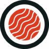 Delhi Rocks logo