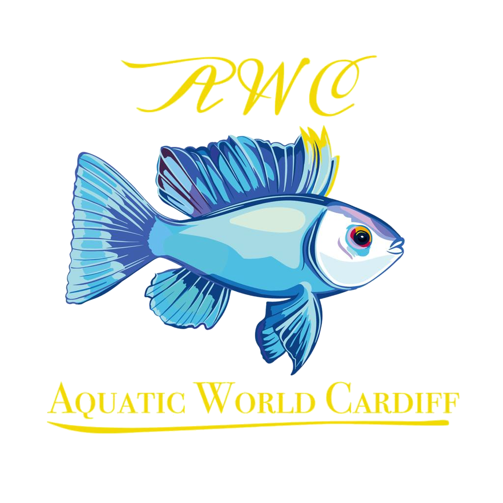 Aquatic World cardiff logo