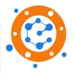 Orion eSolutions Pvt. Ltd. logo