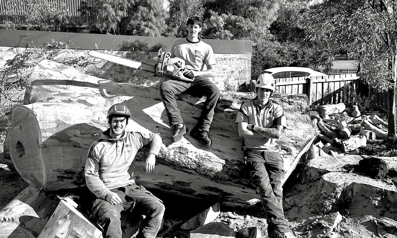 Total Tree Care logo