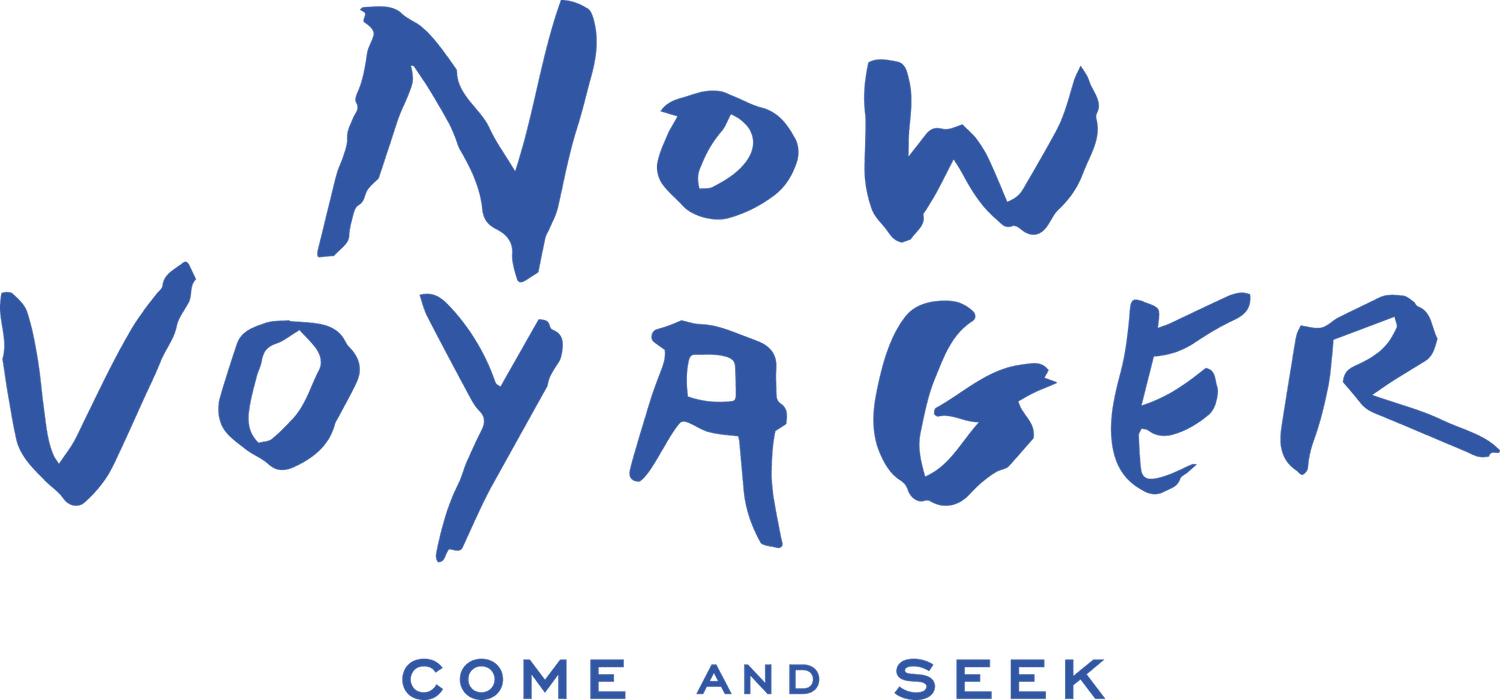 Now Voyager Travel logo