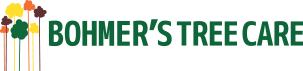 Bohmer's Tree Care logo