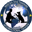 Master Dog Training logo