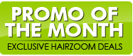 Hairzoom logo