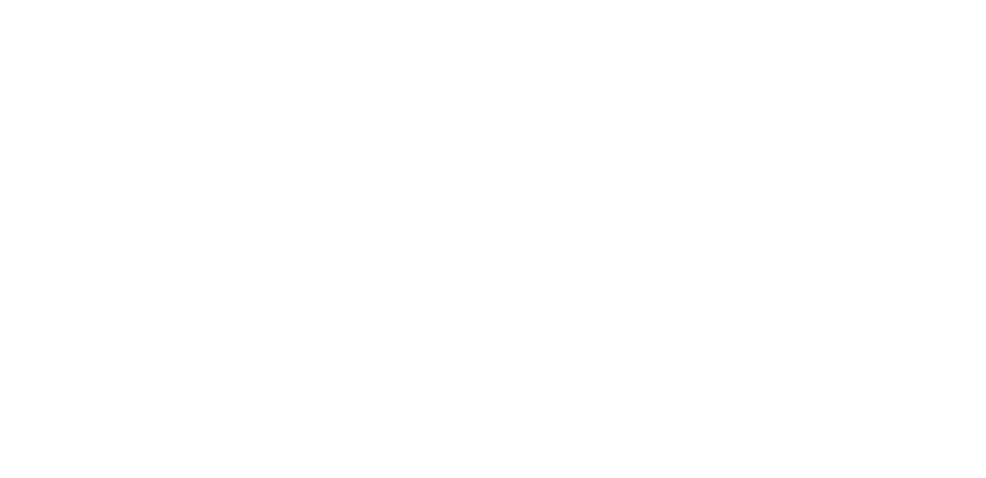 The Eco Laundry Company logo