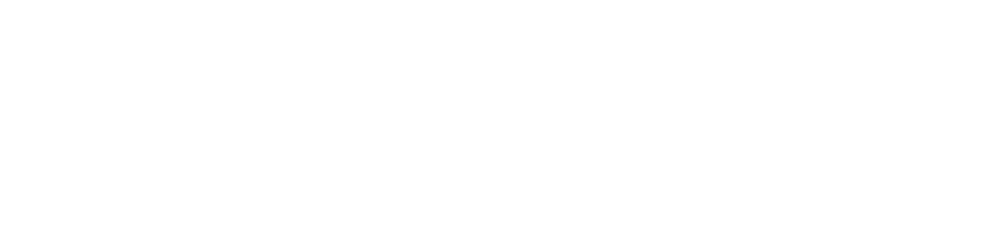 Doctor Flow logo
