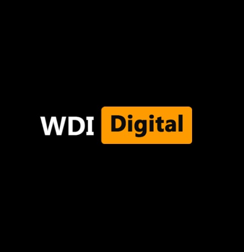 Website Developers India logo