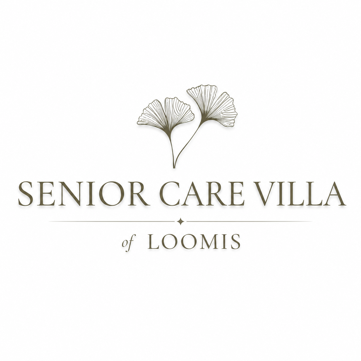 Senior Care Villa Of Loomis logo