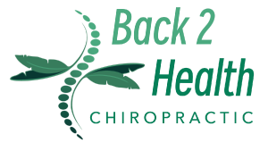 Back 2 Health Chiropractic logo