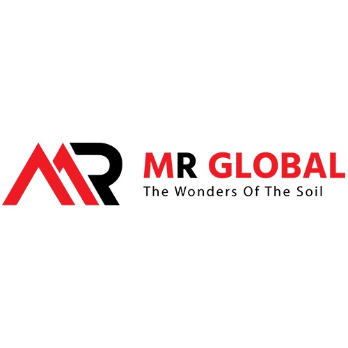 MR Global logo