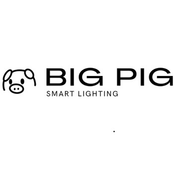 Big Pig Smart Lighting logo