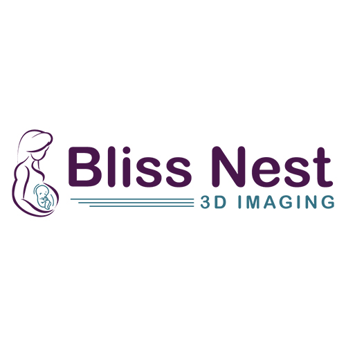 Bliss Nest 3D Imaging logo